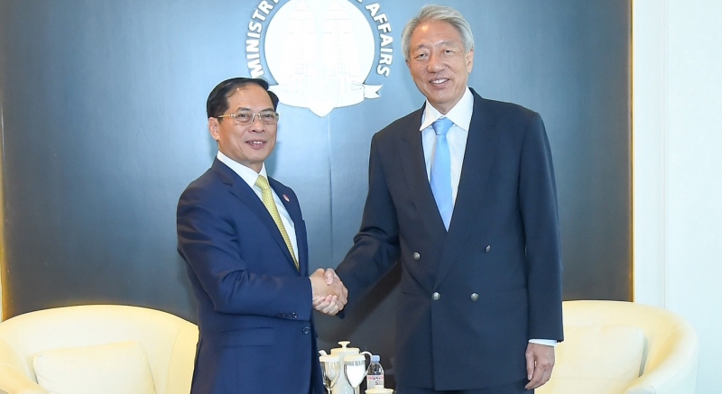 Bộ trưởng Ngoại giao Bùi Thanh Sơn hội kiến với Bộ trưởng Cao cấp Singapore